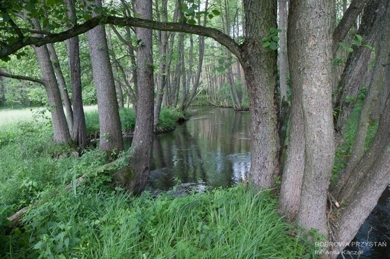 Bobrowa Przystan Czechyn Exterior foto
