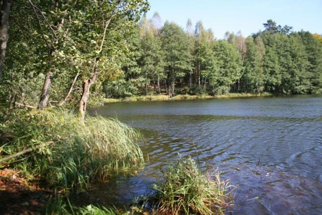 Bobrowa Przystan Czechyn Exterior foto